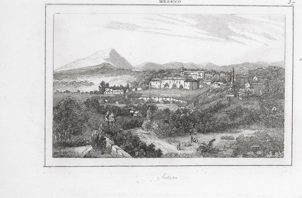 An illustration from Messico e Guatemala / di De Larenaudière, 1845, leaf 339