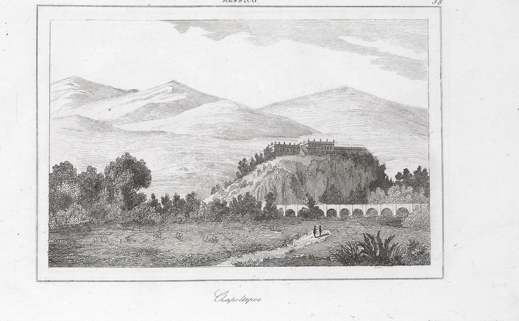 An illustration from Messico e Guatemala / di De Larenaudière, 1845, leaf 342