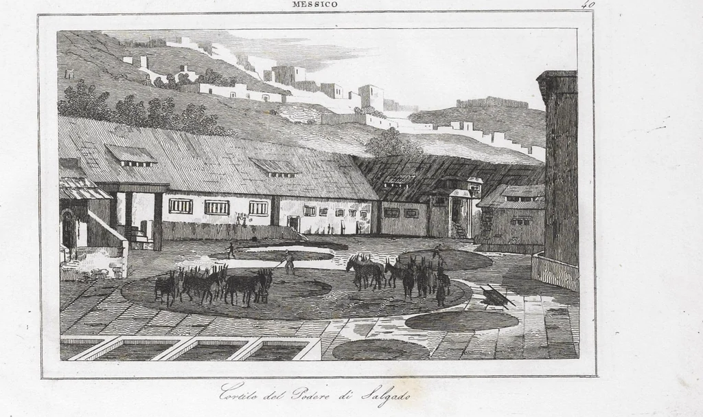 An illustration from Messico e Guatemala / di De Larenaudière, 1845, leaf 346