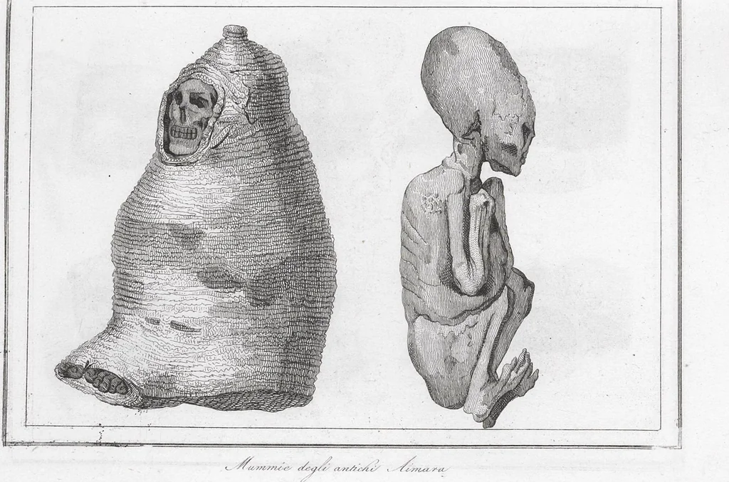 An illustration from Messico e Guatemala / di De Larenaudière, 1845, leaf 691