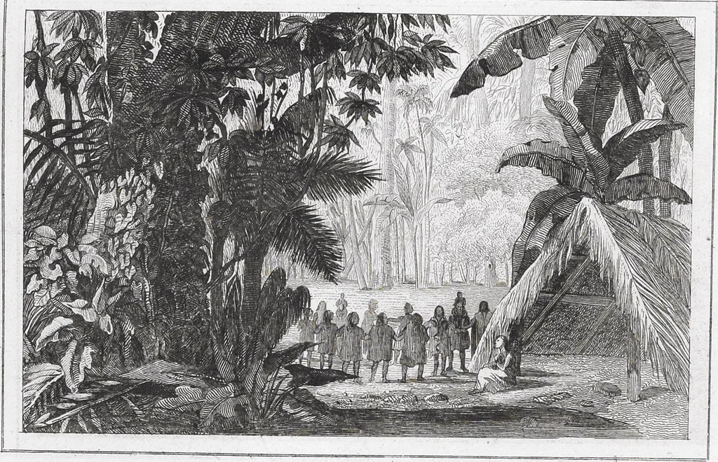 An illustration from Messico e Guatemala / di De Larenaudière, 1845, leaf 711