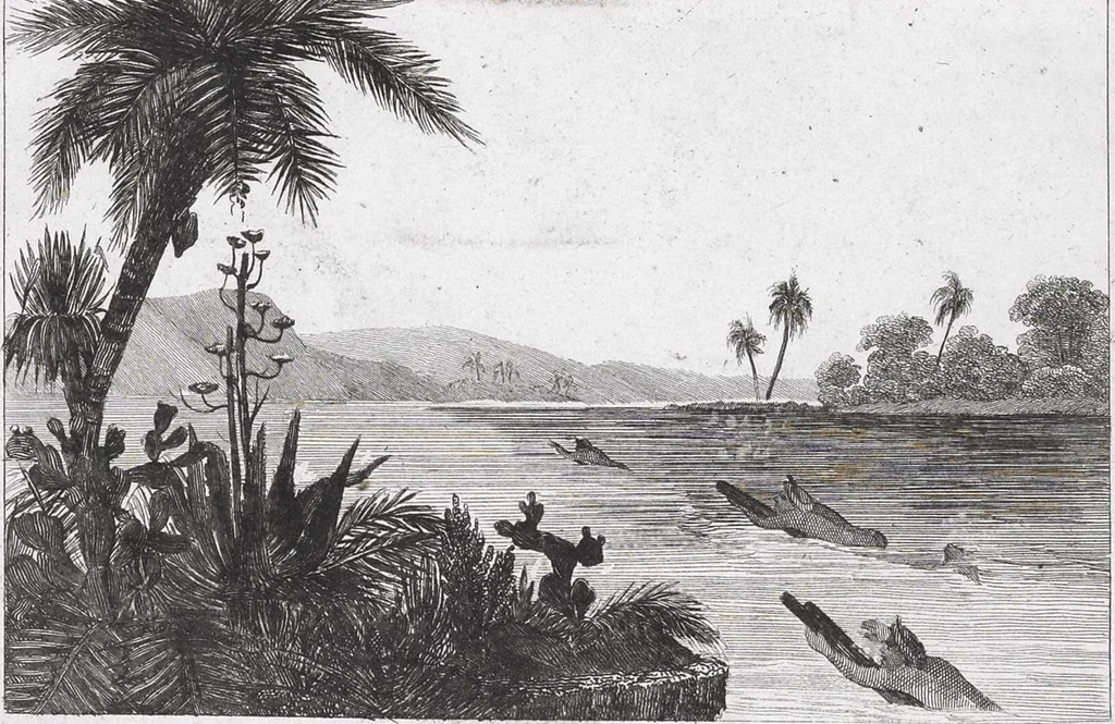 An illustration from Messico e Guatemala / di De Larenaudière, 1845, leaf 714