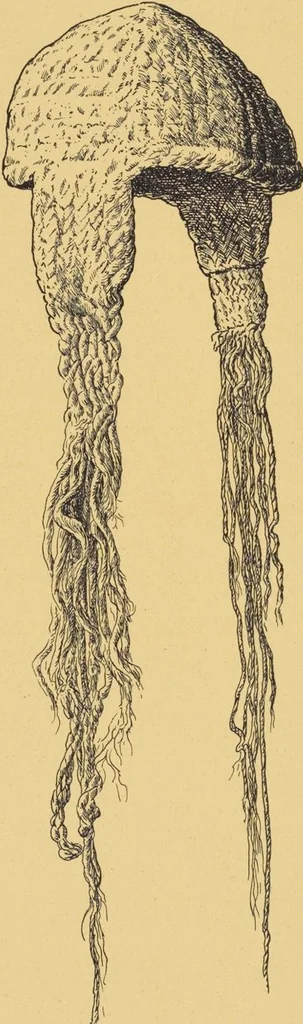 An illustration from Ancient Peruvian art : contributions to the archaeology of the empire of the Incas : [volume 1] / from his collections, by Arthur Baessler tr. by A.H. Keane ., 1902, leaf 65
