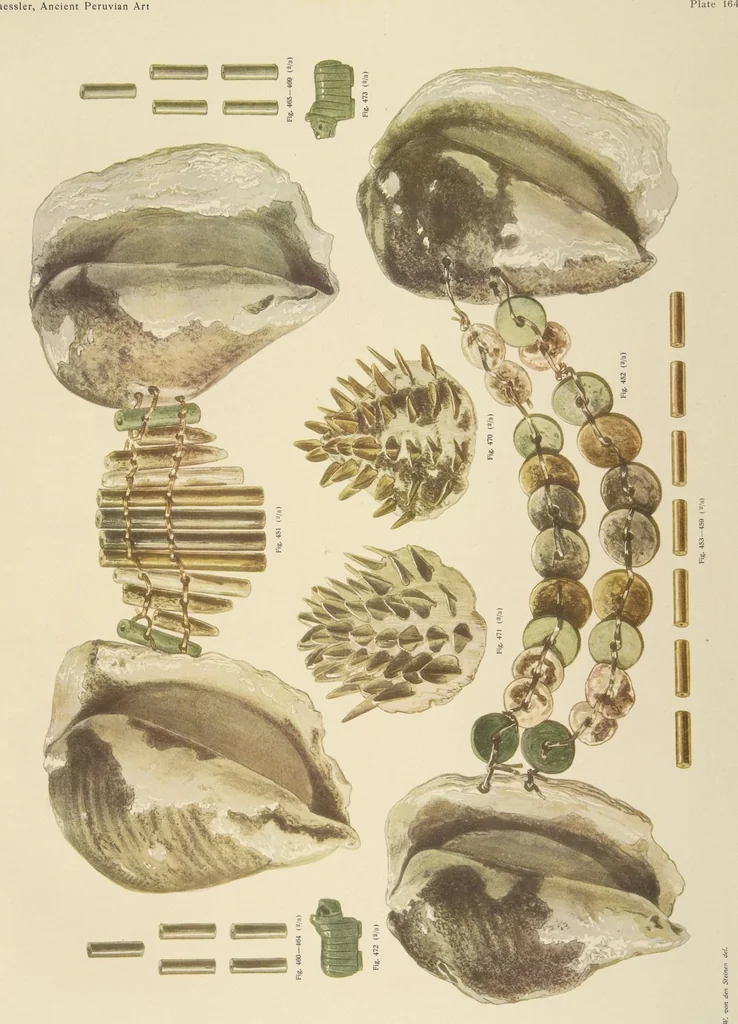 An illustration from Ancient Peruvian art : contributions to the archaeology of the empire of the Incas : [volume 4] / from his collections, by Arthur Baessler tr. by A.H. Keane ., 1902, leaf 119
