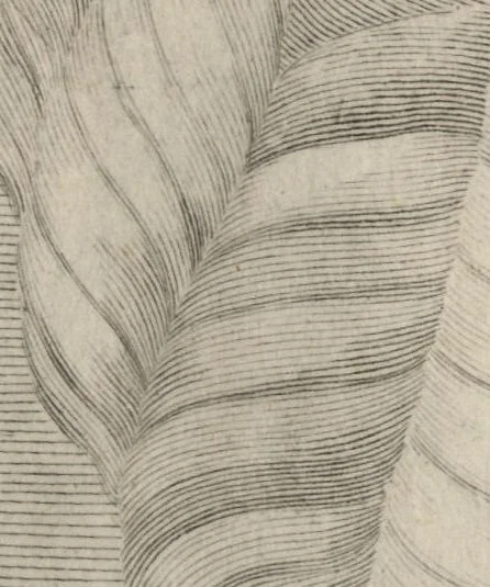 An illustration from Disegni intagliati in rame di pitture antiche ritrovate nelle scavazioni di Resina, 1746, leaf 38