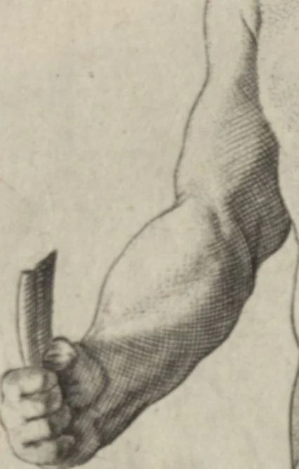 An illustration from Disegni intagliati in rame di pitture antiche ritrovate nelle scavazioni di Resina, 1746, leaf 61