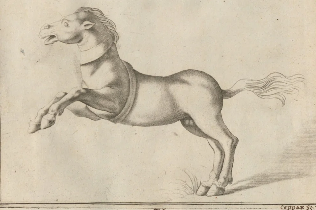 An illustration from Disegni intagliati in rame di pitture antiche ritrovate nelle scavazioni di Resina, 1746, leaf 90