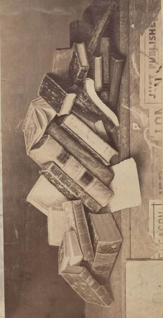 An illustration from Blemly scrapbook, 1895, leaf 83