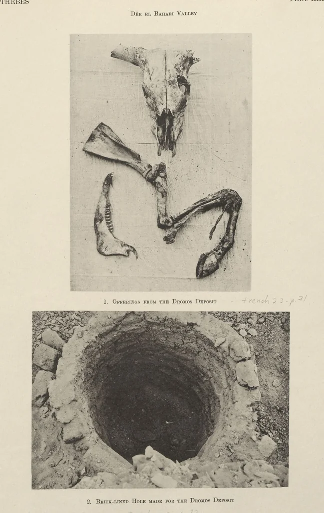 An illustration from Five years' explorations at Thebes : a record of work done 1907-1911 / by the Earl of Carnarvon and Howard Carter, with chapters by F. Ll. Griffith, George Legrain, George Möller, Percy E. Newberry and Wilhelm Spiegelberg ; with seventy-nine plates and frontispiece, 1912, leaf 155