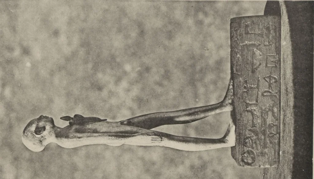 An illustration from Five years' explorations at Thebes : a record of work done 1907-1911 / by the Earl of Carnarvon and Howard Carter, with chapters by F. Ll. Griffith, George Legrain, George Möller, Percy E. Newberry and Wilhelm Spiegelberg ; with seventy-nine plates and frontispiece, 1912, leaf 248