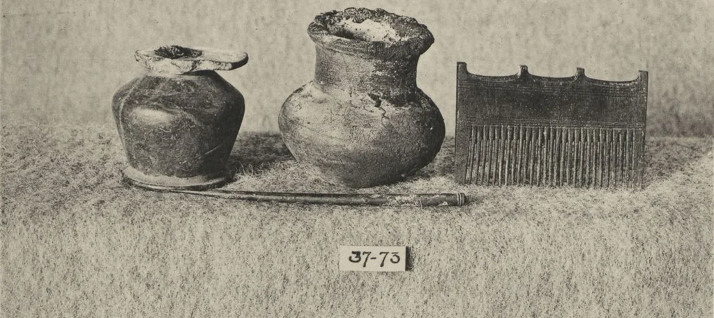An illustration from Five years' explorations at Thebes : a record of work done 1907-1911 / by the Earl of Carnarvon and Howard Carter, with chapters by F. Ll. Griffith, George Legrain, George Möller, Percy E. Newberry and Wilhelm Spiegelberg ; with seventy-nine plates and frontispiece, 1912, leaf 254