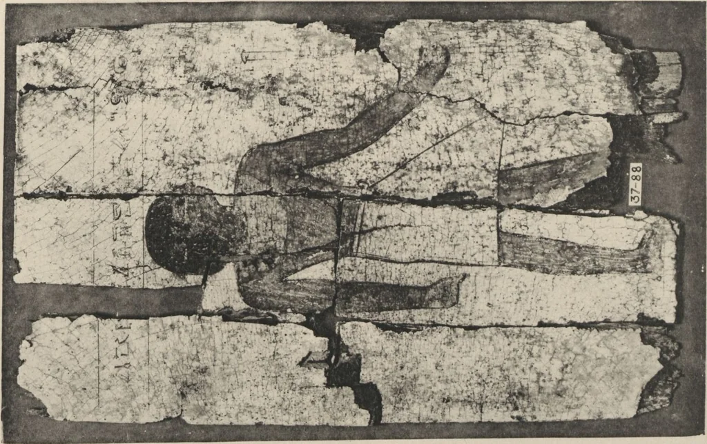 An illustration from Five years' explorations at Thebes : a record of work done 1907-1911 / by the Earl of Carnarvon and Howard Carter, with chapters by F. Ll. Griffith, George Legrain, George Möller, Percy E. Newberry and Wilhelm Spiegelberg ; with seventy-nine plates and frontispiece, 1912, leaf 264