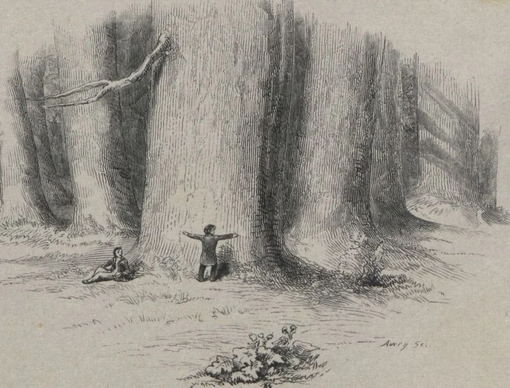 An illustration from S.P. Avery, engraver on wood : [scrapbook of samples of his work], leaf 50