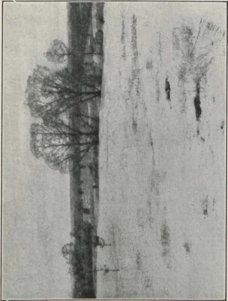 An illustration from Fourth annual exhibition of paintings by John F. Carlson, A.N.A. : February 26th to March 9th at the Louis Katz Galleries, New York, 1913, leaf 11