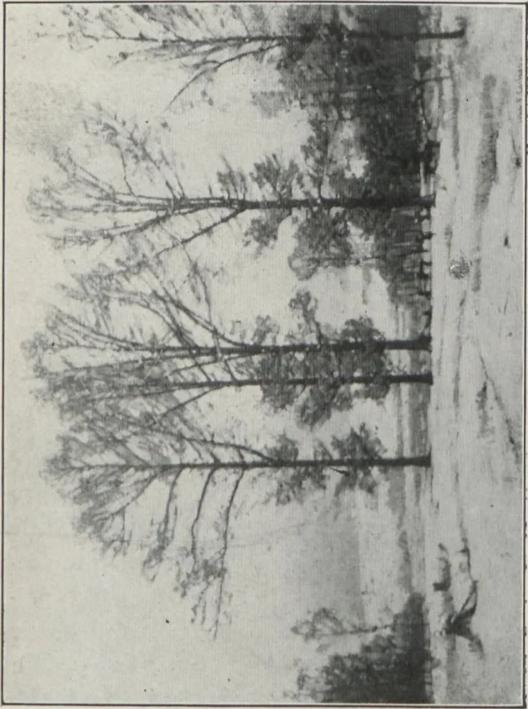 An illustration from Fourth annual exhibition of paintings by John F. Carlson, A.N.A. : February 26th to March 9th at the Louis Katz Galleries, New York, 1913, leaf 5