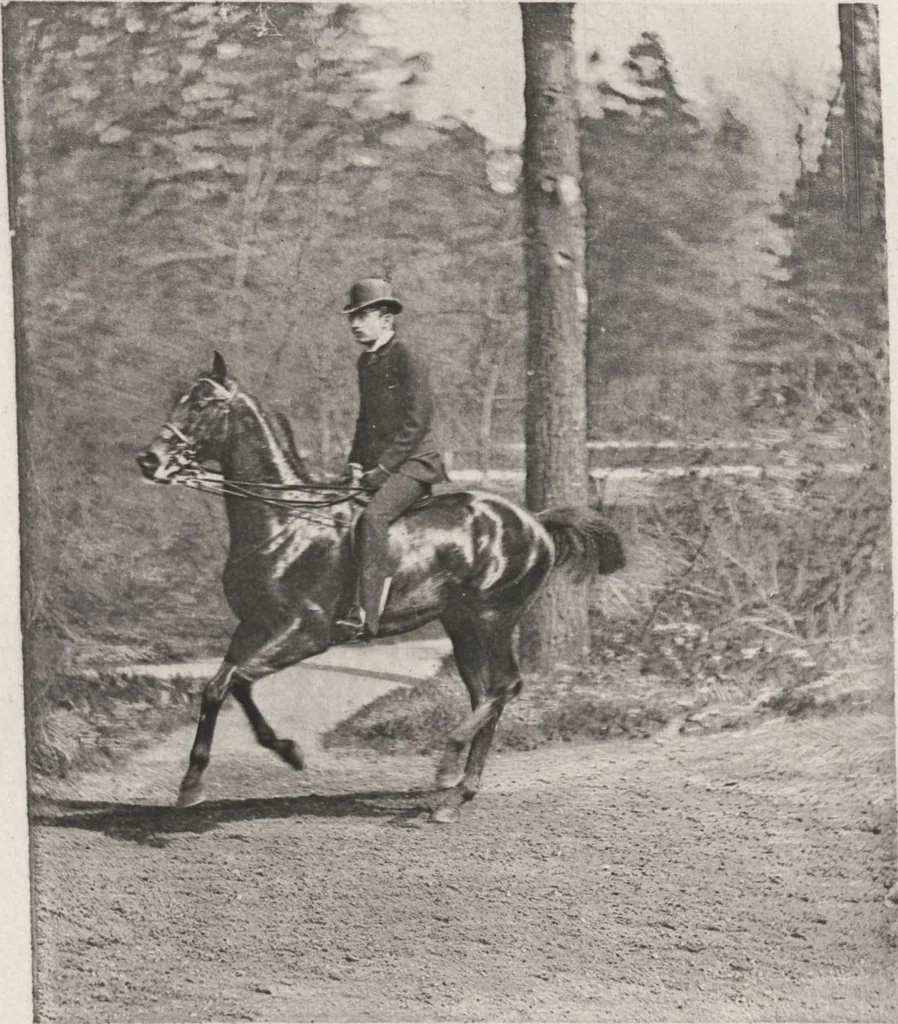 An illustration from Le tour du bois : photogravures : photographie hippique au Bois du Boulogne et Boulevard Saint-Germain, 1884, leaf 31