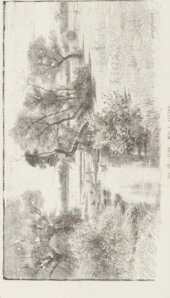 An illustration from American paintings and sculpture contributed to the "Second Prize Fund Exhibition", 1886, leaf 62