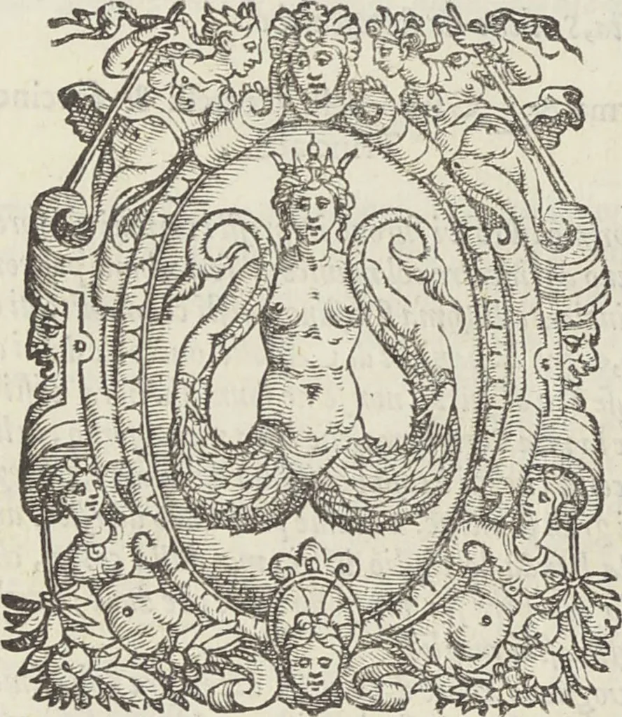 An illustration from Il trinciante / di M. Vincenzo Cervio ; ampliato, et ridotto a perfettione dal cavalier Reale Fusoritto da Narni ... ; con una bellissima aggiunta fatta nouamente dall'istesso caualier Reale .., 1593, leaf 144