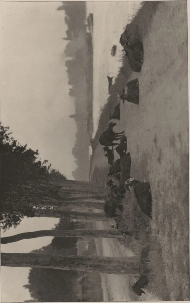 An illustration from Picturesque bits of New York and other studies / by Alfred Stieglitz, 1897, leaf 11