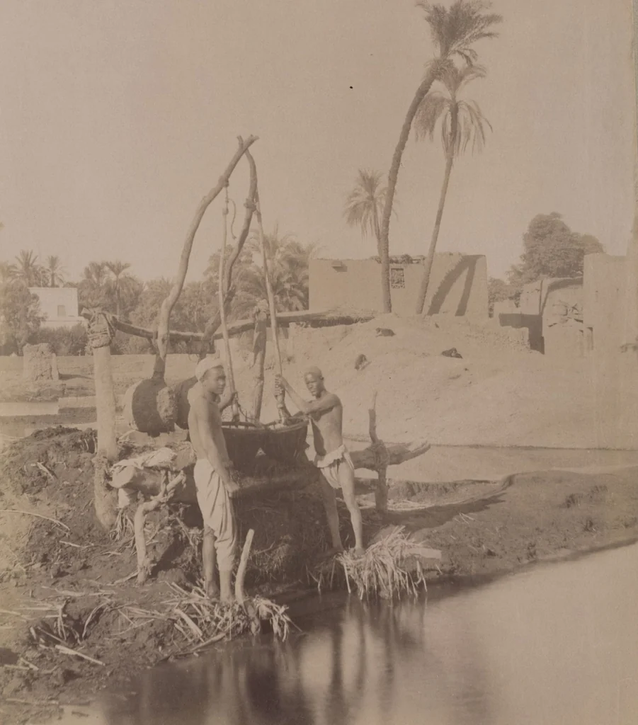 An illustration from [Album of Egyptian and Turkish photographs. Volume 1 / assembled by Rudolf H. and Lulu Reinhart in 1906 on their wedding trip], 1906, leaf 11