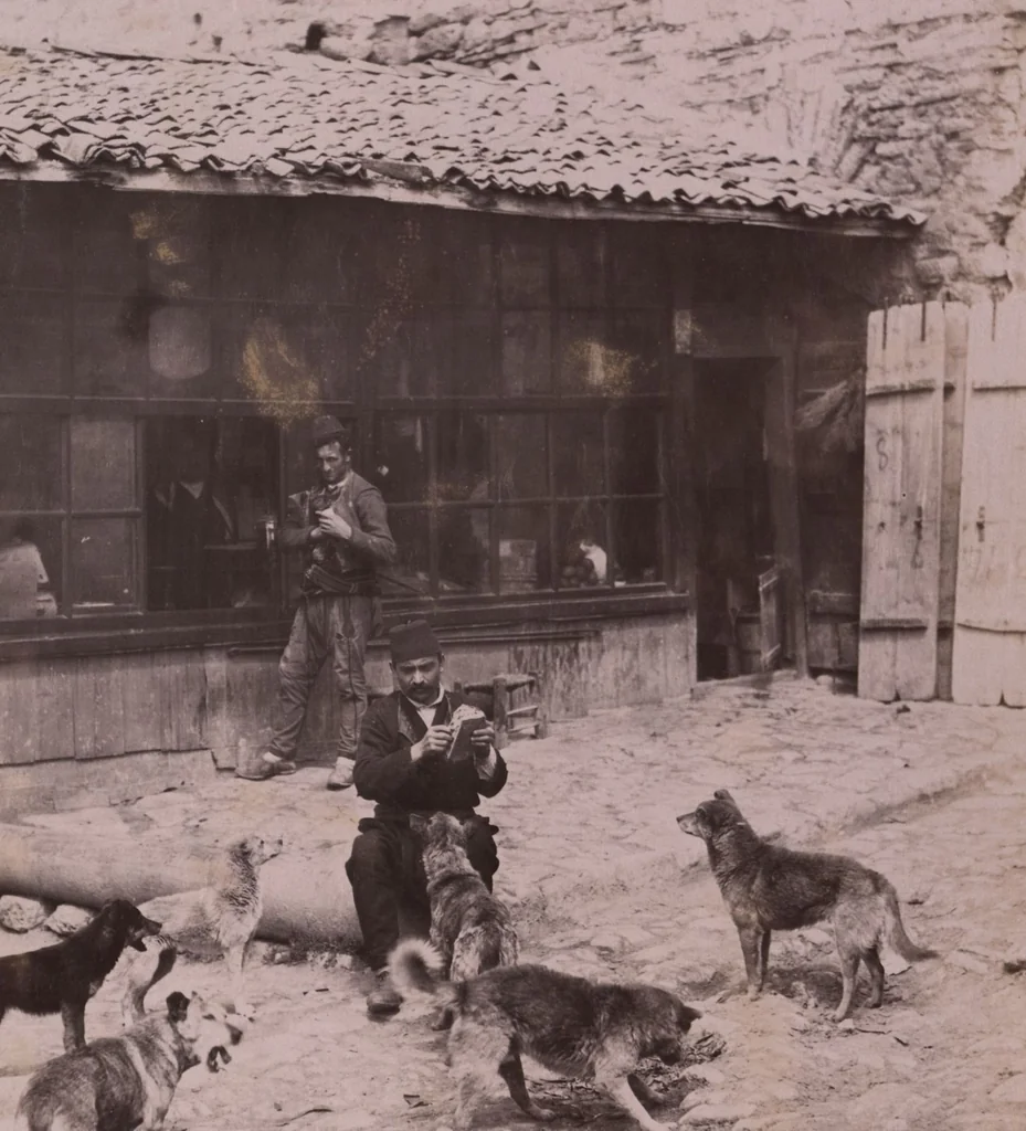An illustration from [Album of Egyptian and Turkish photographs. Volume 1 / assembled by Rudolf H. and Lulu Reinhart in 1906 on their wedding trip], 1906, leaf 43