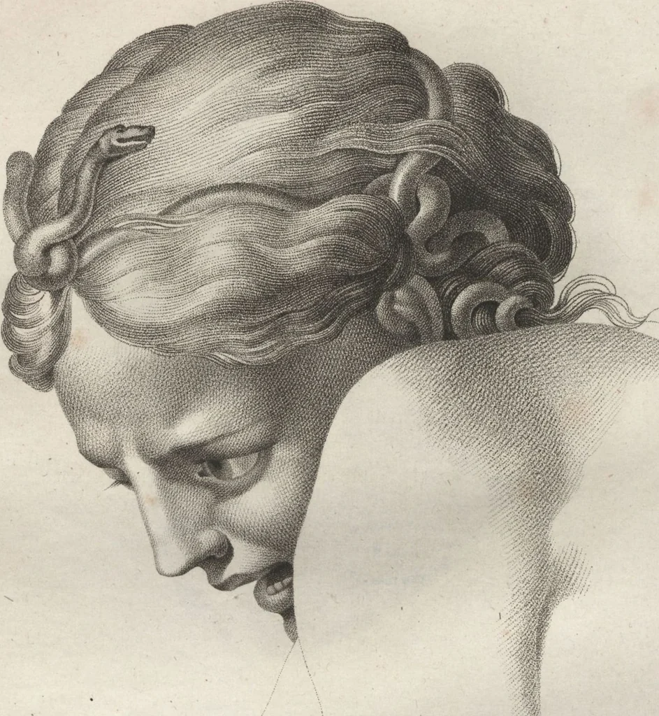 An illustration from Collections de têtes d'expressions représentant les différentes passions de l'ame : dessinées d'après les tableaux du Musée central des arts de Paris / par Jph. et Ane. Sauvage dit Lemire dédiées au citoyen Chaptel, ministère de l'Interior par J.J.F. Tassaert, 1803, leaf 43