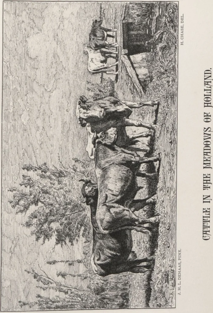 An illustration from A catalogue of [his collection of] ... paintings / ill. by Harry Chase, 1880, leaf 38