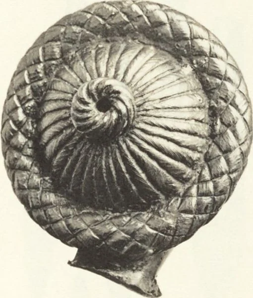 An illustration from Beschreibung römischer Altertümer [volume 2] / gesammelt von Carl Anton Niessen, 1911, leaf 259