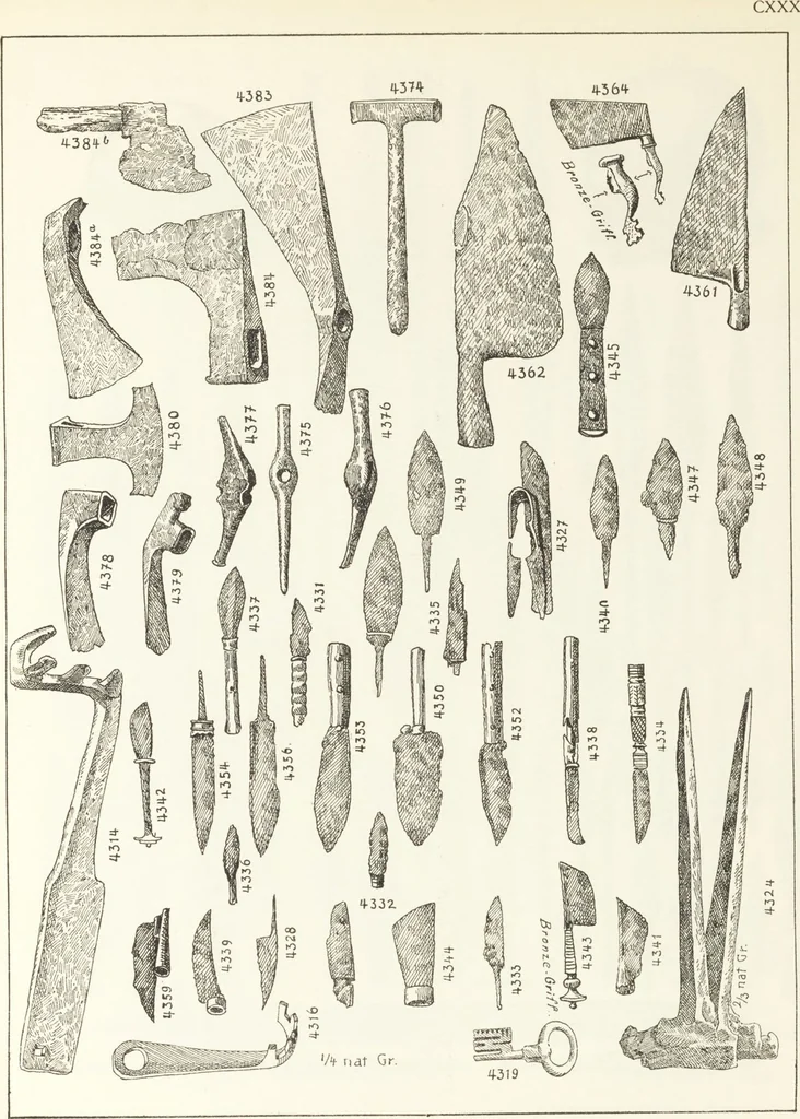 An illustration from Beschreibung römischer Altertümer [volume 2] / gesammelt von Carl Anton Niessen, 1911, leaf 261