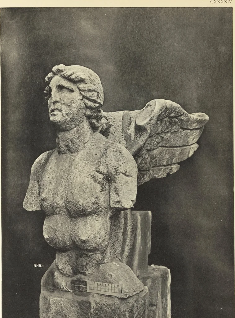 An illustration from Beschreibung römischer Altertümer [volume 2] / gesammelt von Carl Anton Niessen, 1911, leaf 289