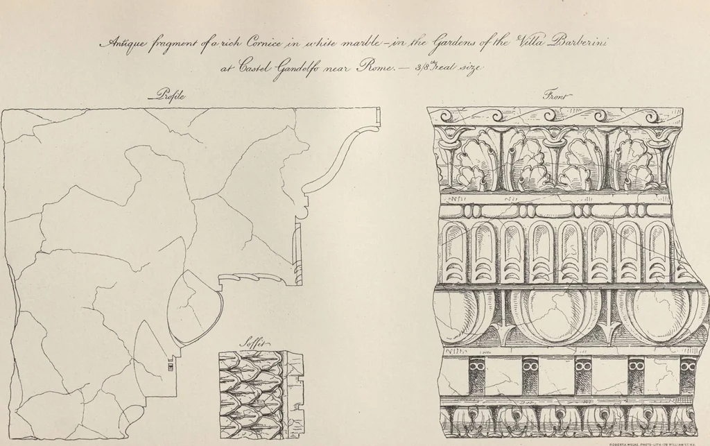 An illustration from Etchings, representing the best examples of ancient ornamental architecture : drawn from the originals in Rome, and other parts of Italy, during the years 1794, 1795 and 1796. by Charles Heathcote Tatham, architect facsimile reproduction by photo-lithography, 1890, leaf 15