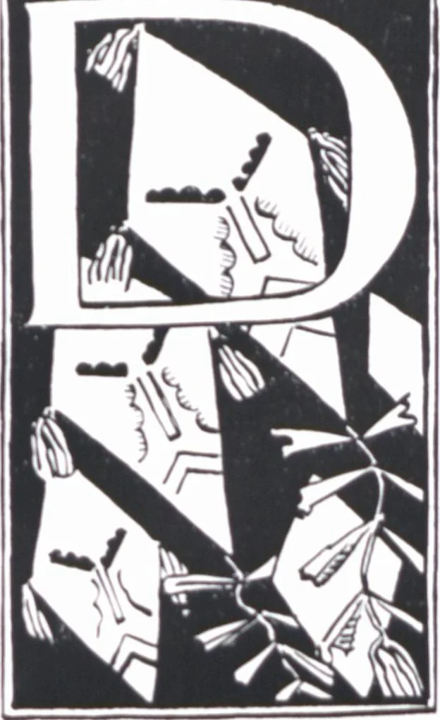 An illustration from Iulius Diez / Text von Rich. Braungart, 1920, leaf 29