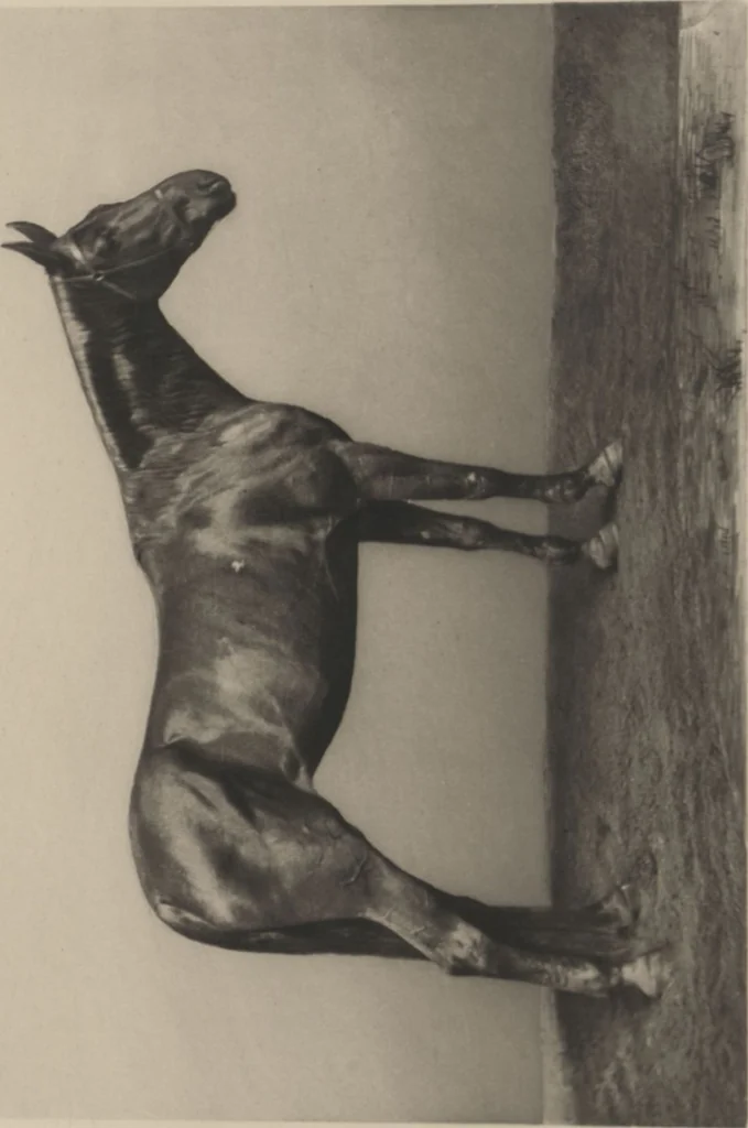 An illustration from Mr. Vanderbilt's house and collection : volume 2 / described by Edward Strahan, 1883, leaf 102