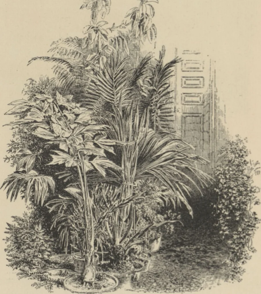 An illustration from Mr. Vanderbilt's house and collection : volume 2 / described by Edward Strahan, 1883, leaf 90