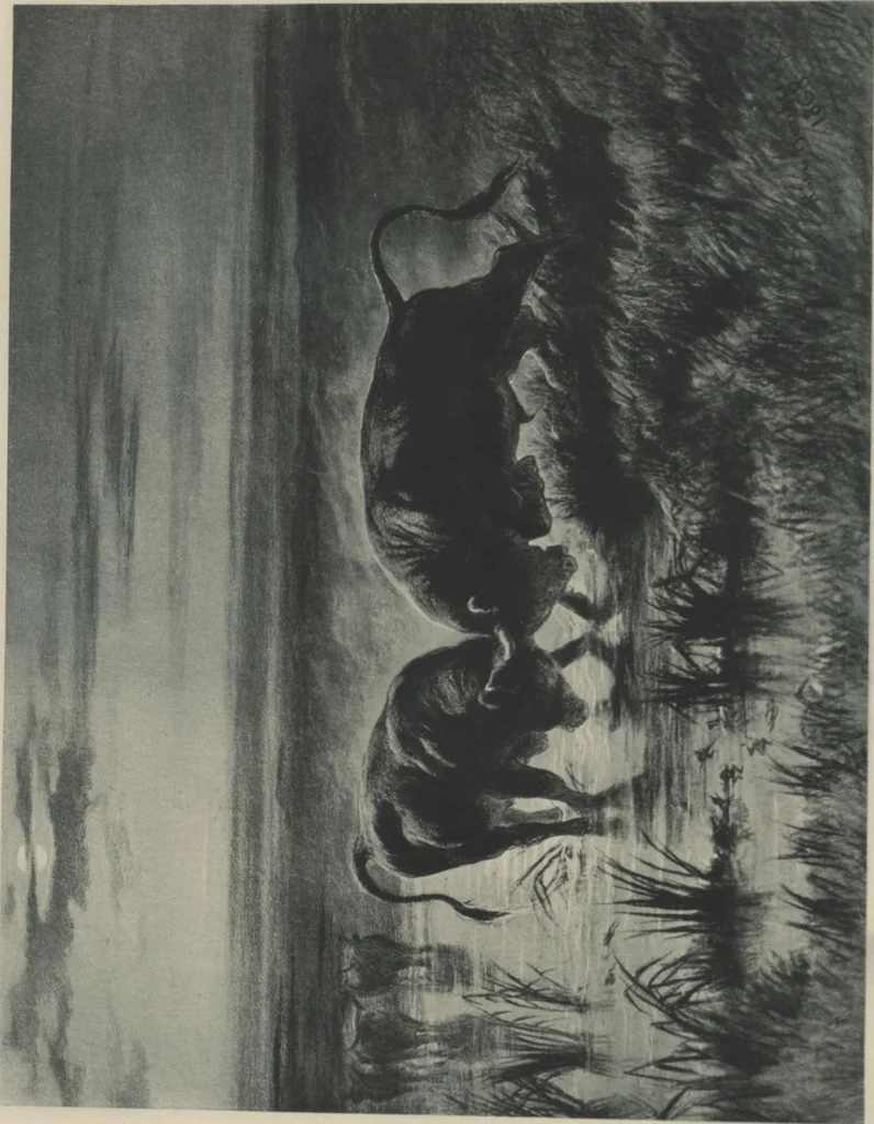 An illustration from Mr. Vanderbilt's house and collection : volume 3 / described by Edward Strahan, 1883, leaf 36