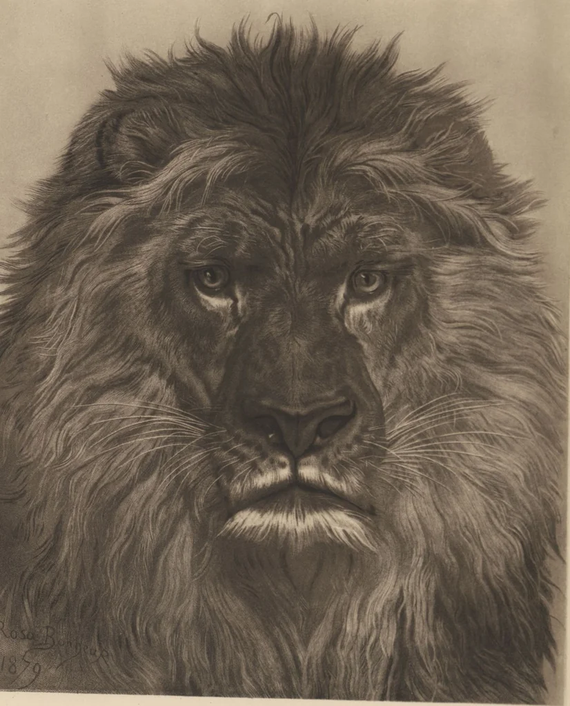An illustration from Mr. Vanderbilt's house and collection : volume 3 / described by Edward Strahan, 1883, leaf 40
