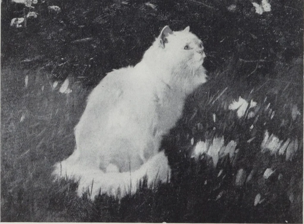 An illustration from Képes tárgymutató : a József Főherceg és Auguszta Főhercegasszony ő fenségeik védősége alatt álló sárosi mũvészi sorsjáték kiállításáról / szerkesztette, Lesskó János biz. titkár., 1915, leaf 107