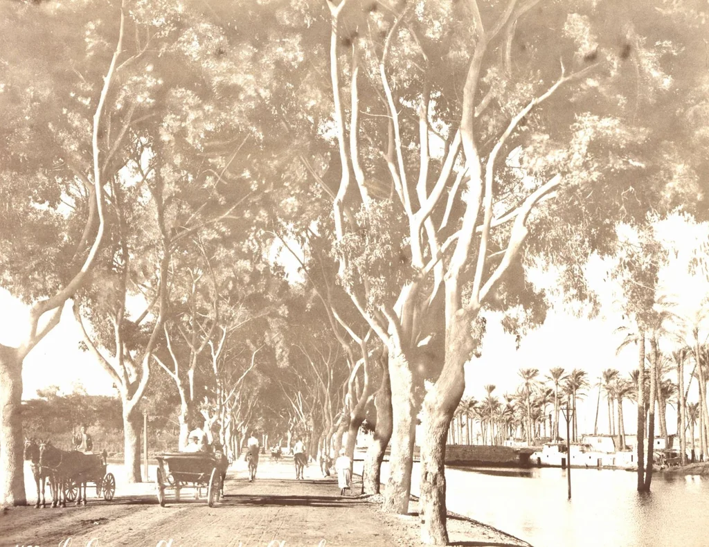 An illustration from [Album of Egyptian and Turkish photographs. Volume 2 / assembled by Rudolf H. and Lulu Reinhart in 1906 on their wedding trip], 1906, leaf 18