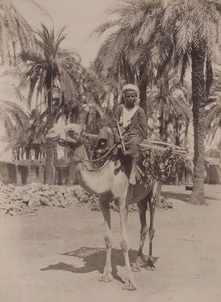 An illustration from [Album of Egyptian and Turkish photographs. Volume 2 / assembled by Rudolf H. and Lulu Reinhart in 1906 on their wedding trip], 1906, leaf 51