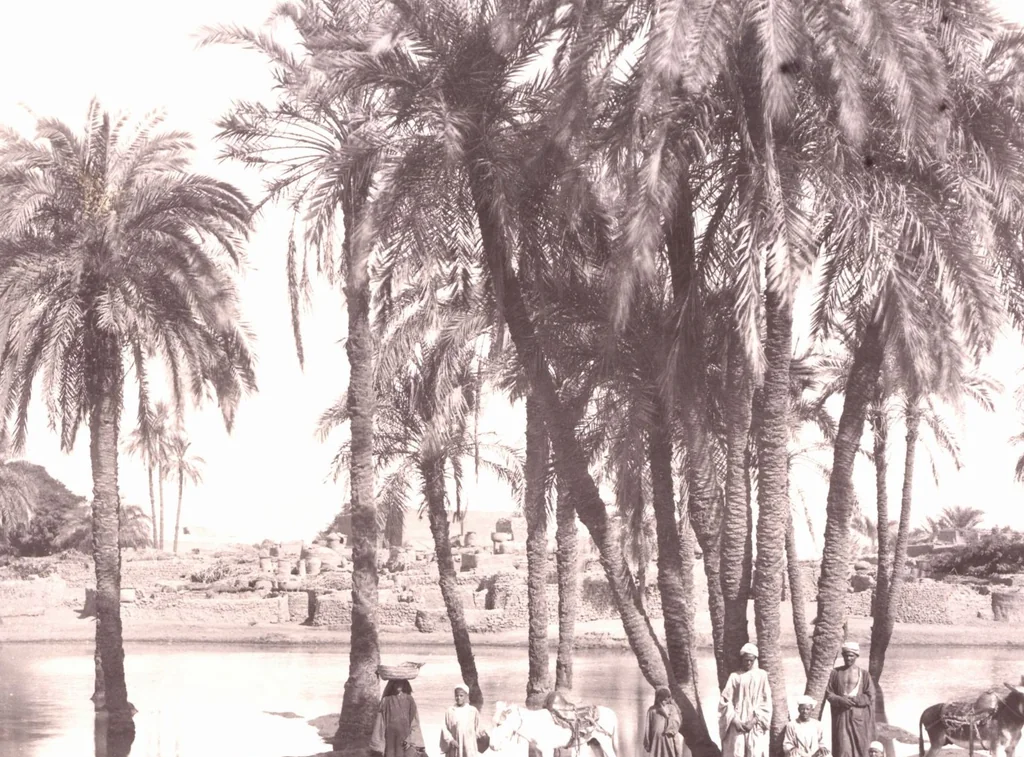 An illustration from [Album of Egyptian and Turkish photographs. Volume 2 / assembled by Rudolf H. and Lulu Reinhart in 1906 on their wedding trip], 1906, leaf 55