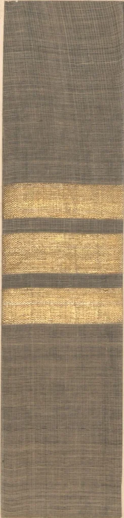 An illustration from Collection of specimens and illustrations of the textile manufactures of India. Second series, 0001-0064 / prepared under the direction of J. Forbes Watson, 1873, leaf 11