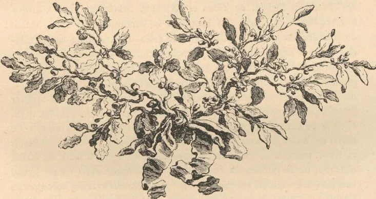 An illustration from F. Boucher / par André Michel, 1889, leaf 58