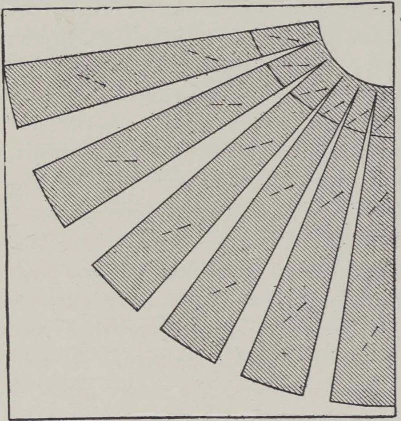 An illustration from Patterns for blouses and dresses, 1917, leaf 36