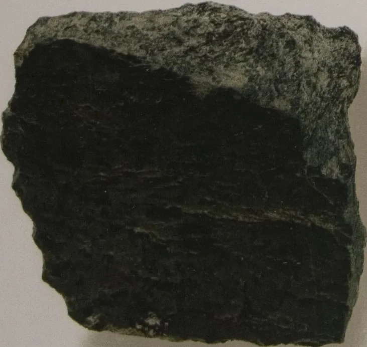 An illustration from The Bishop collection : investigations and studies in jade : [volume one], 1906, leaf 161