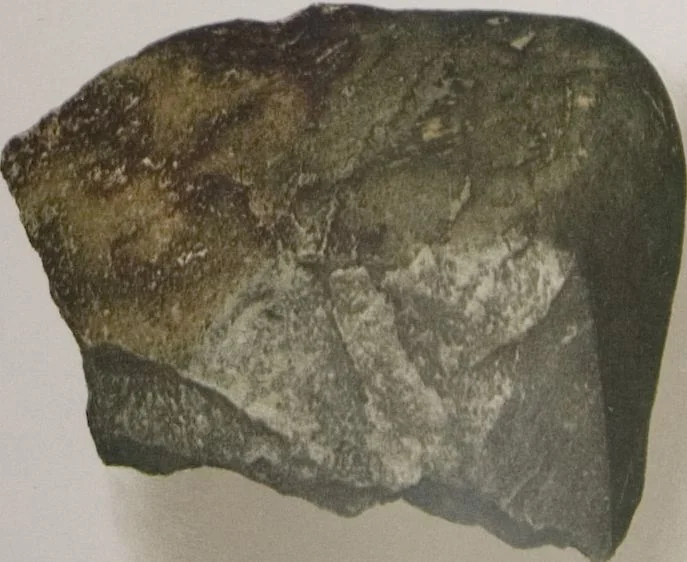 An illustration from The Bishop collection : investigations and studies in jade : [volume one], 1906, leaf 161