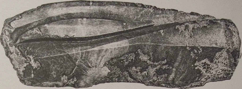 An illustration from The Bishop collection : investigations and studies in jade : [volume one], 1906, leaf 163