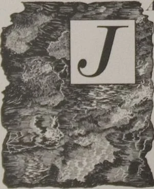 An illustration from The Bishop collection : investigations and studies in jade : [volume one], 1906, leaf 163