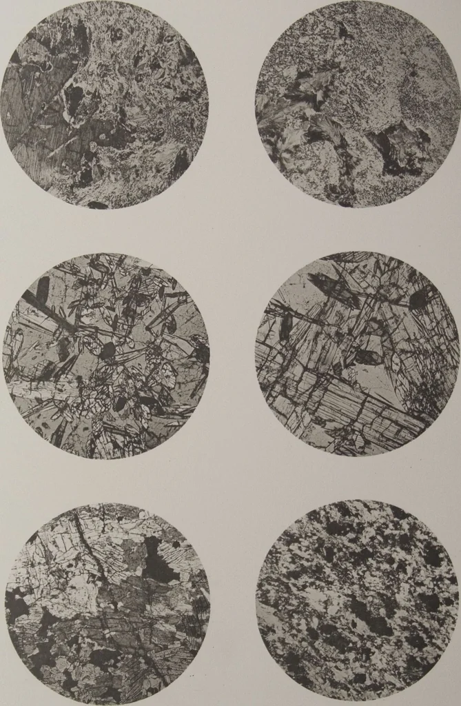 An illustration from The Bishop collection : investigations and studies in jade : [volume one], 1906, leaf 190