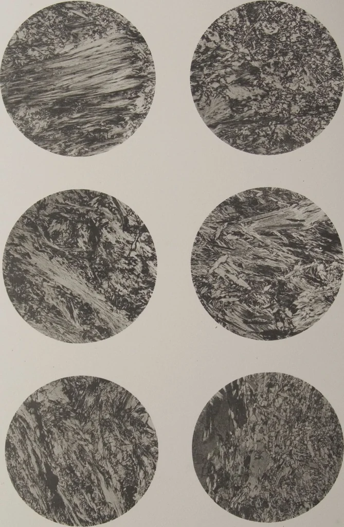 An illustration from The Bishop collection : investigations and studies in jade : [volume one], 1906, leaf 196