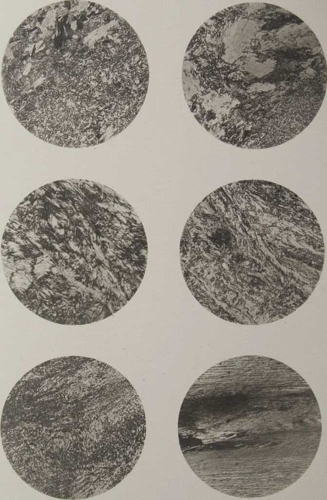 An illustration from The Bishop collection : investigations and studies in jade : [volume one], 1906, leaf 202
